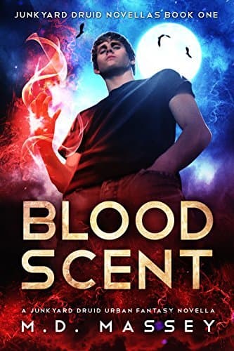 The Colin McCool series
